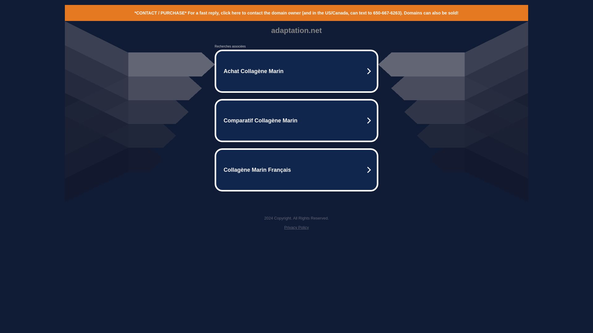 Stato del sito web adaptation.net è   ONLINE