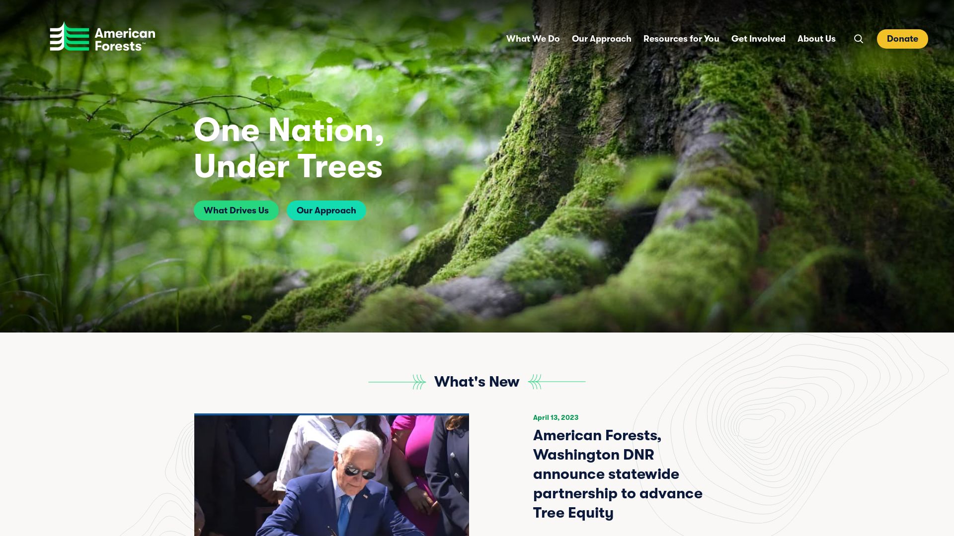 Stato del sito web americanforests.org è   ONLINE