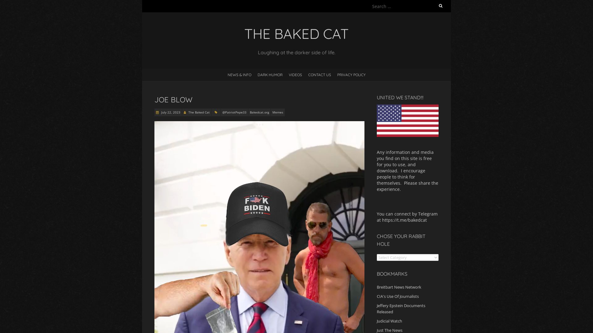 Stato del sito web bakedcat.org è   ONLINE