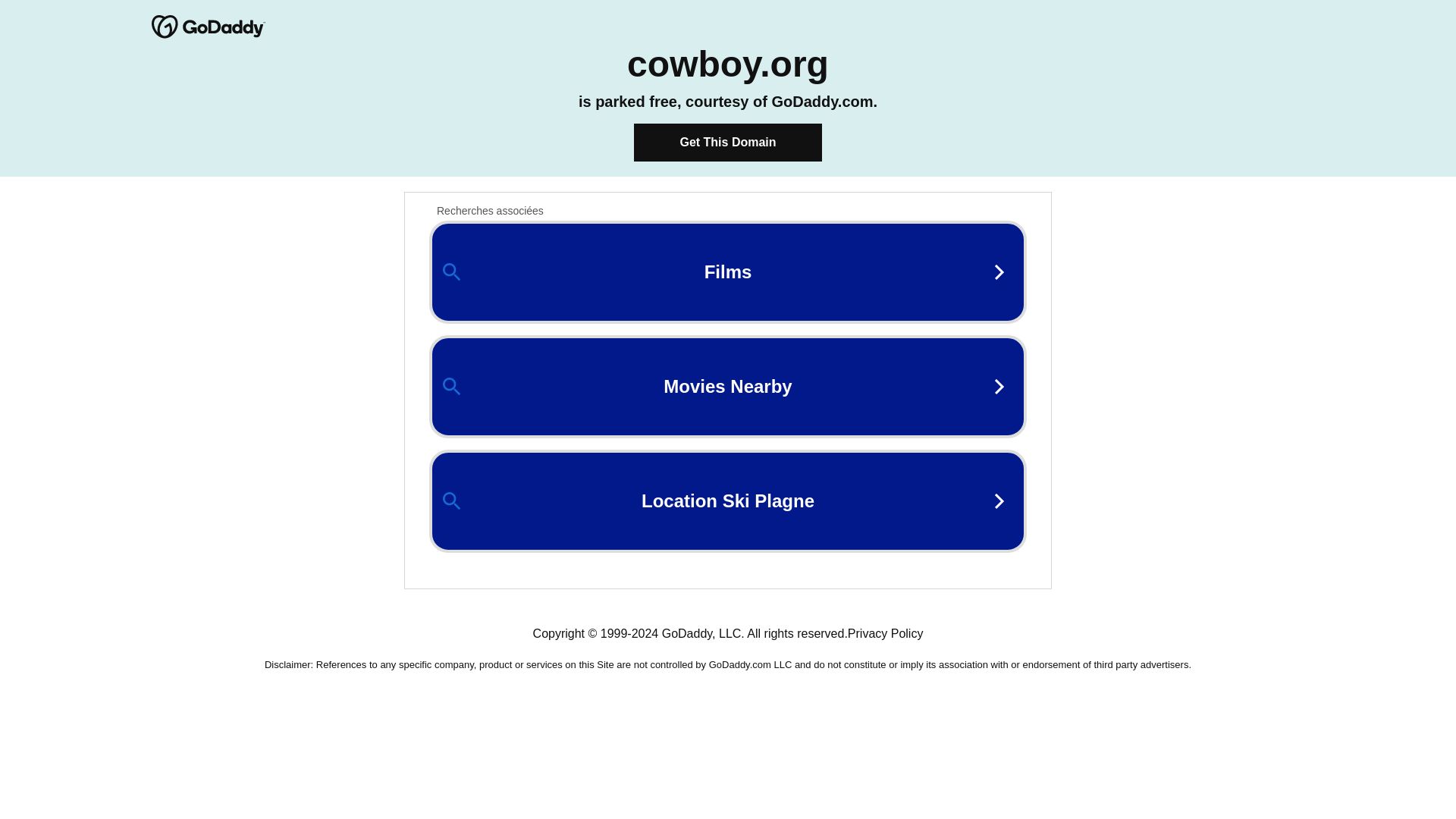 Stato del sito web cowboy.org è   ONLINE