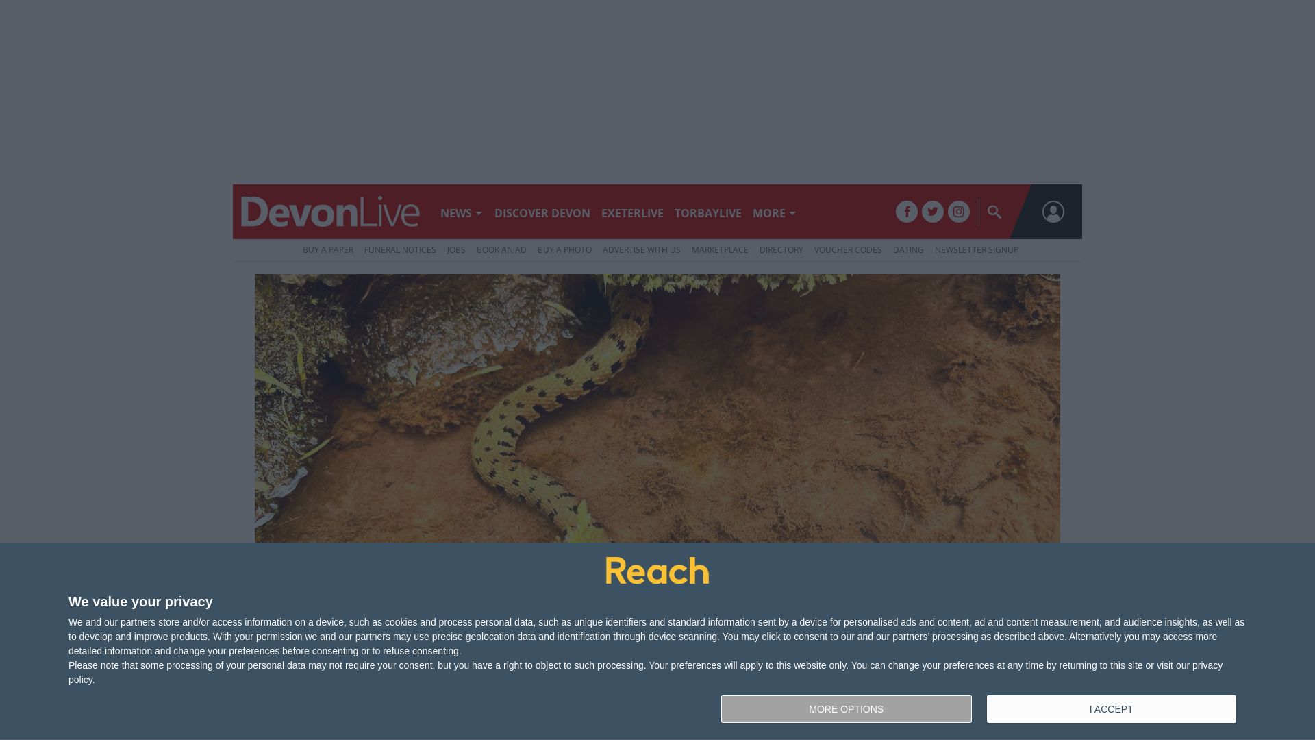 Stato del sito web devonlive.com è   ONLINE