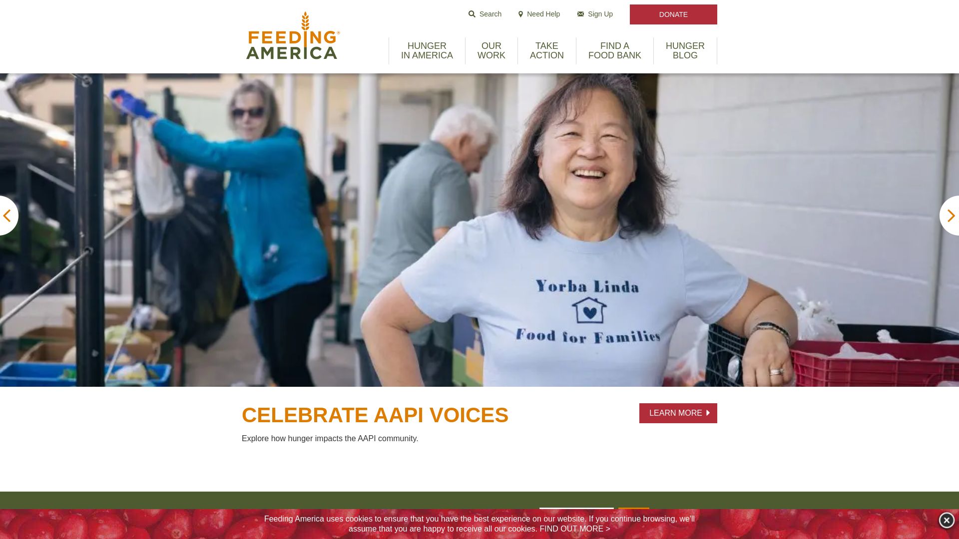 Stato del sito web feedingamerica.org è   ONLINE