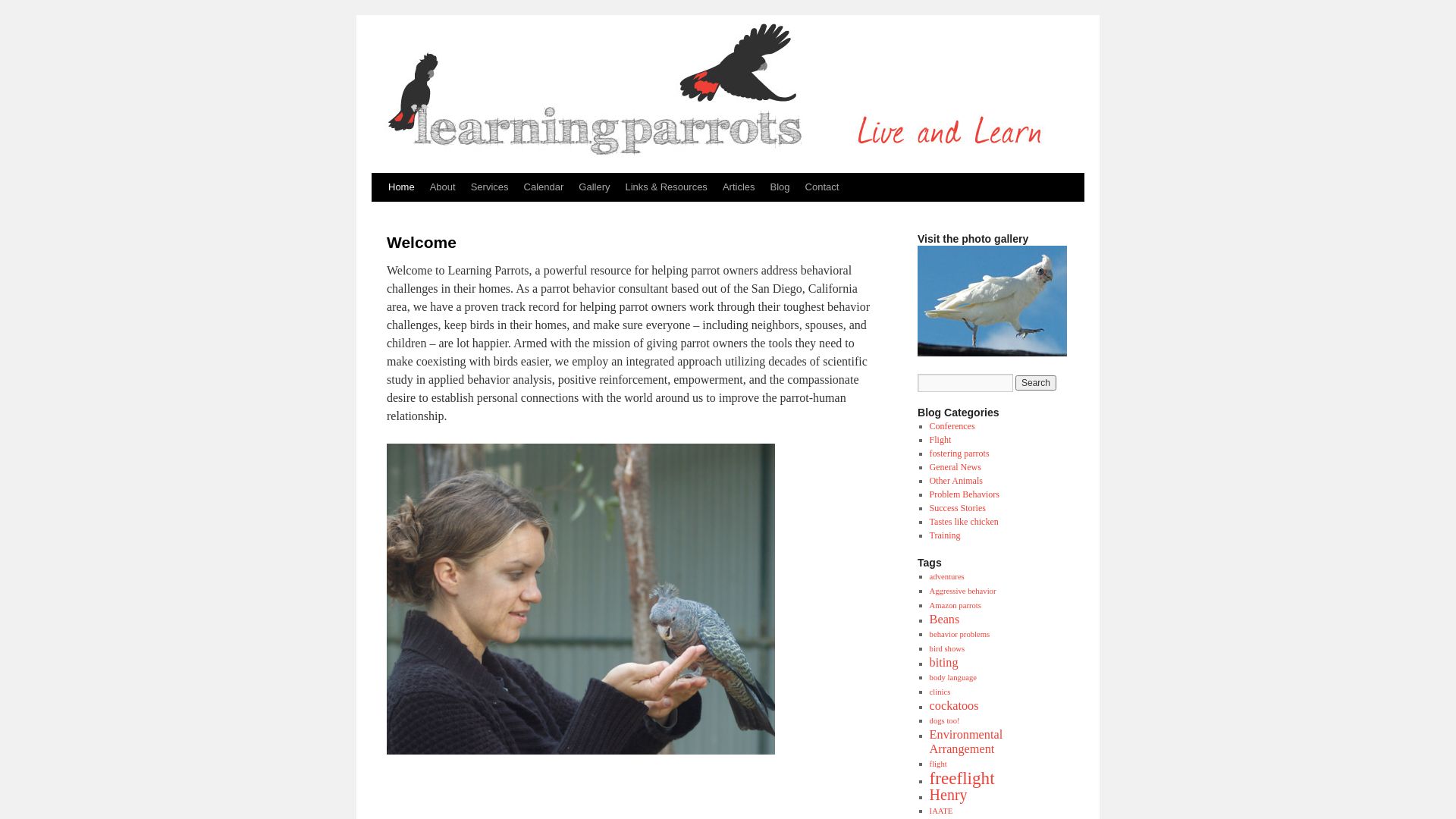 Stato del sito web learningparrots.com è   ONLINE