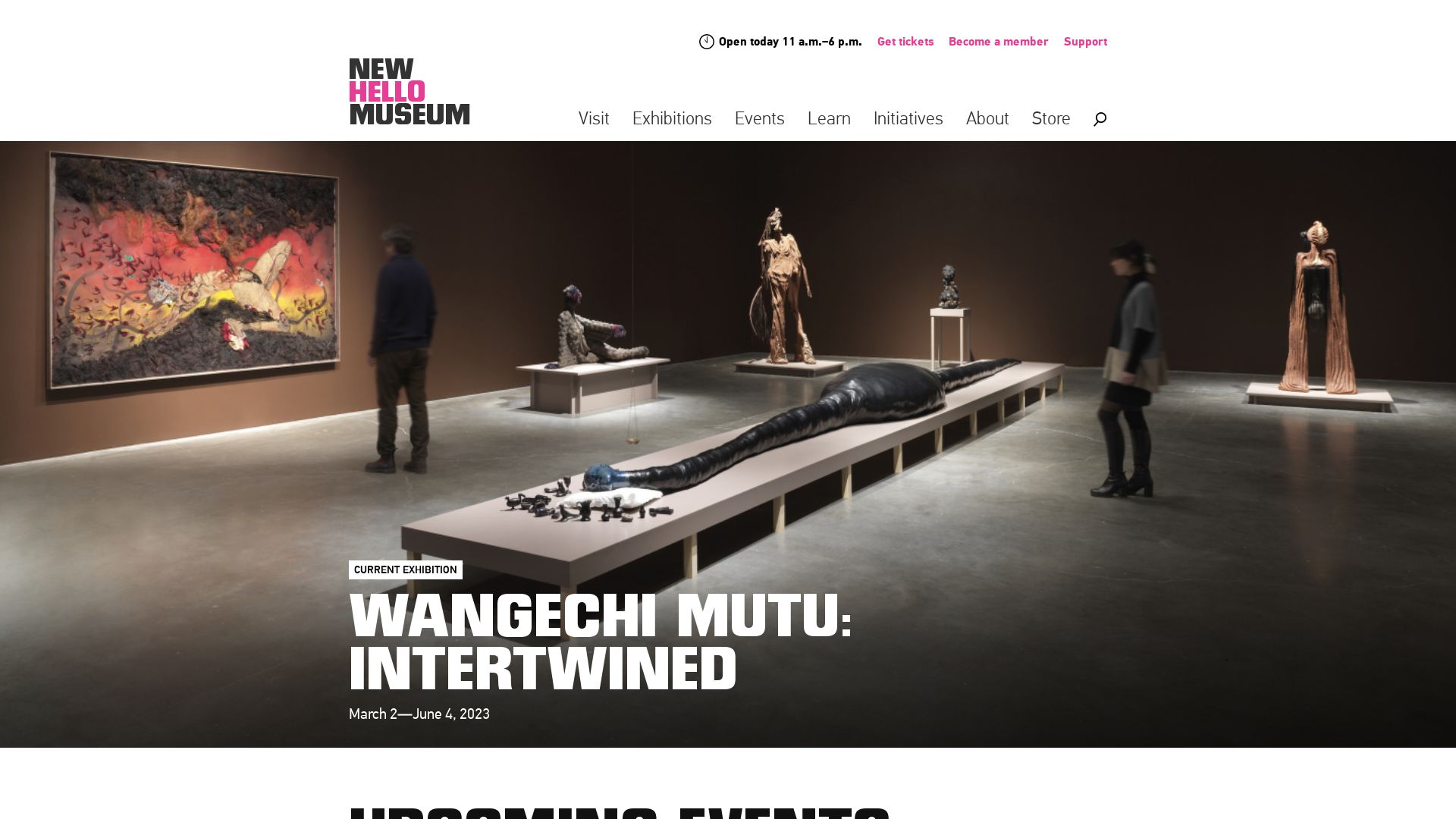 Stato del sito web newmuseum.org è   ONLINE
