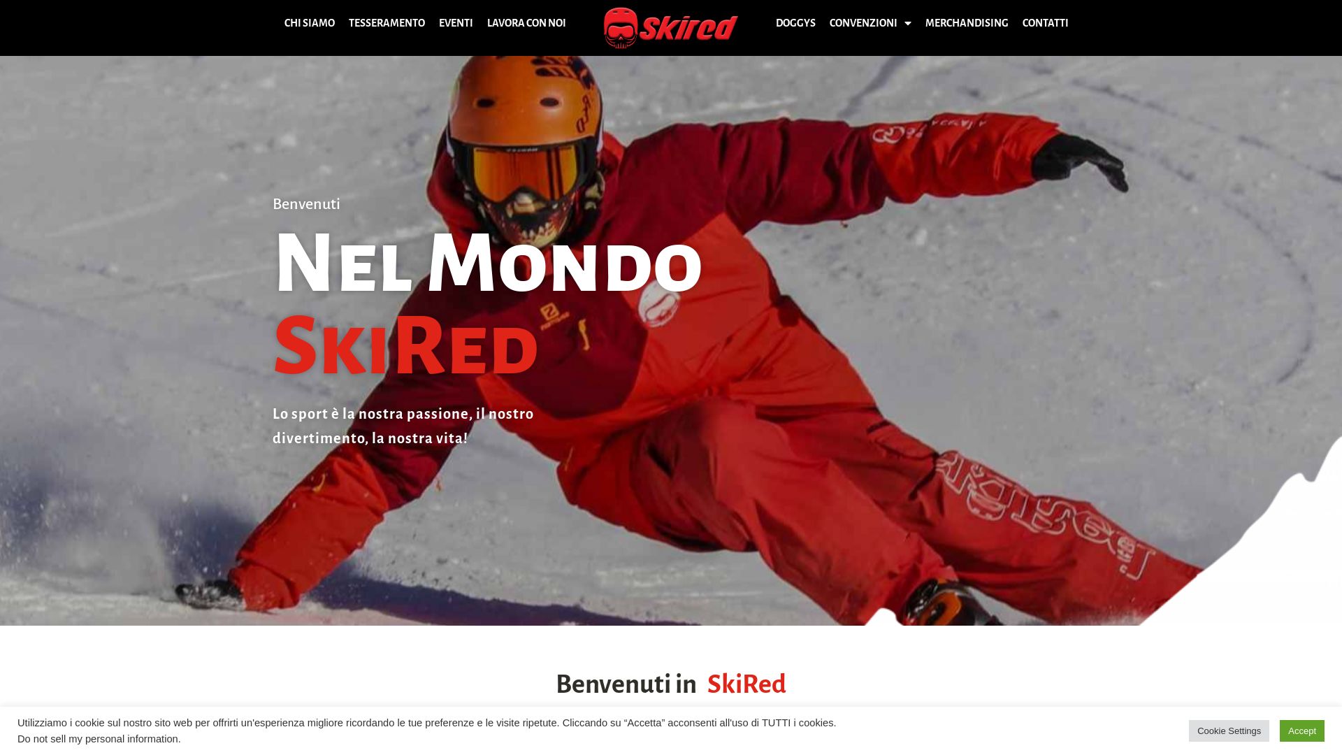 Stato del sito web skired.it è   ONLINE